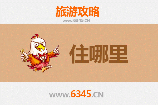 高雄前金区民宿攻略：文艺复古与现代便利的完美融合